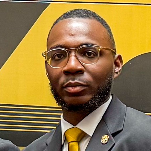 Jean Louis, Parliamentarian